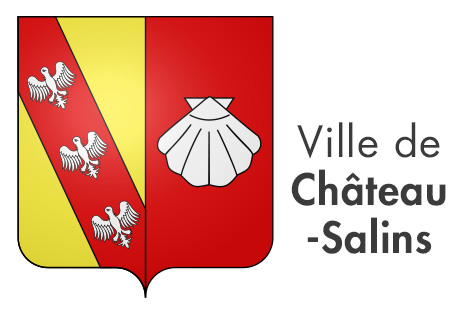 Ville Chateau Salins